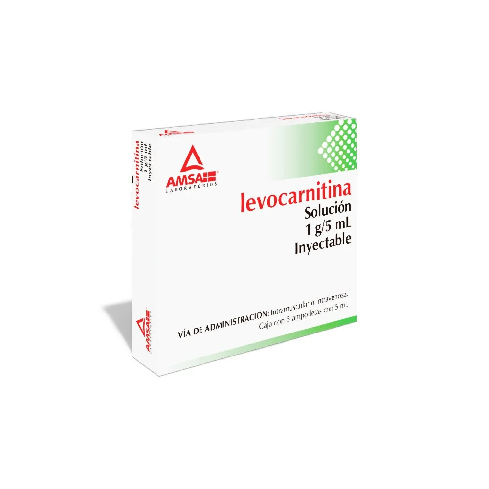 Ams Levocarnitina 1 Gr 5x5 Ml